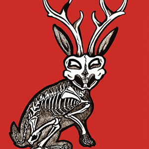 Jackalope Jackalope
